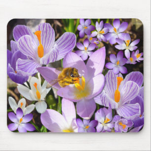 DE CROCUS-TASTER ~ Mousepad Muismat