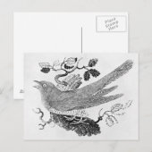 De Cuckoo Briefkaart (Voorkant / Achterkant)