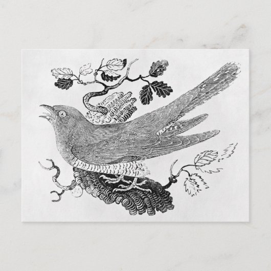 De Cuckoo Briefkaart (Voorkant)