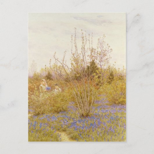 De Cuckoo Briefkaart (Voorkant)