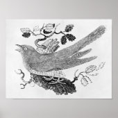 De Cuckoo Poster (Voorkant)