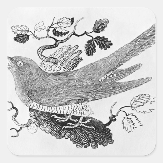 De Cuckoo Vierkante Sticker (Voorkant)