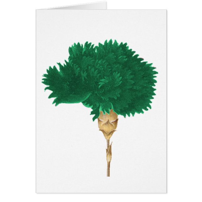 De Cult of Wilde (Voorkant)