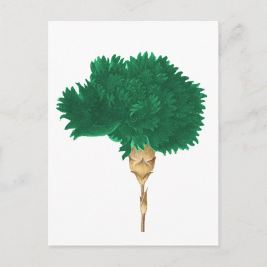 De Cult of Wilde Briefkaart (Voorkant)