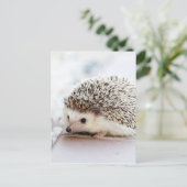 De Cute Baby Hedgel Briefkaart (Staand voorkant)
