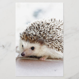 De Cute Baby Hedgel Briefpapier