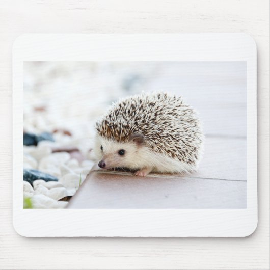De Cute Baby Hedgel Muismat (Voorkant)