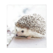 De Cute Baby Hedgel Notitieblok (Voorkant)