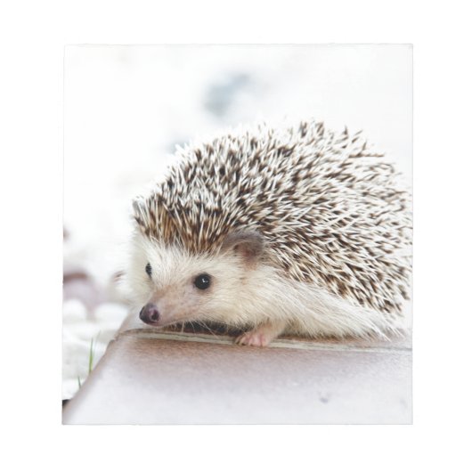 De Cute Baby Hedgel Notitieblok (Voorkant)