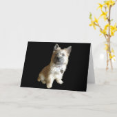 De Cutest Cairn Terrier ooit. Cuter dan Toto. Kaart (Gele Bloem)
