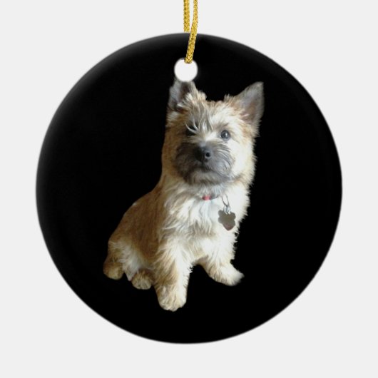 De Cutest Cairn Terrier ooit.  Cuter dan Toto. Keramisch Ornament (Voorkant)