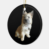 De Cutest Cairn Terrier ooit.  Cuter dan Toto. Keramisch Ornament (Links)