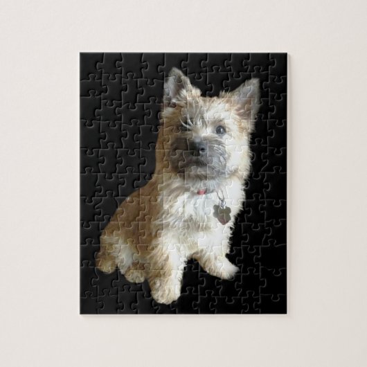 De Cutest Cairn Terrier ooit. Cuter dan Toto. Legpuzzel (Verticaal)