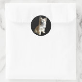 De Cutest Cairn Terrier ooit. Cuter dan Toto. Ronde Sticker (Tas)