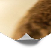 De Cutest Kitten ooit Poster (Hoek)