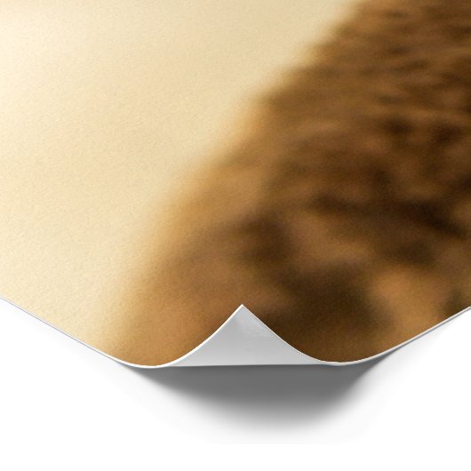 De Cutest Kitten ooit Poster (Hoek)