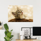 De Cutest Kitten ooit Poster (Thuiskantoor)