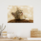 De Cutest Kitten ooit Poster (Keuken)
