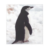De Cutest Penguin, ooit Notitieblok (Voorkant)
