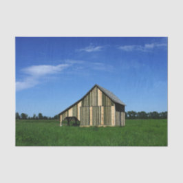 De Cutest Striped Barn Ever. Tissuepapier