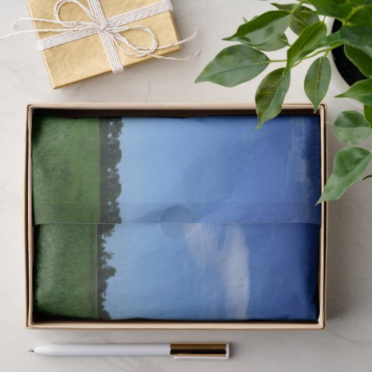 De Cutest Striped Barn Ever. Tissuepapier (Geschenk)