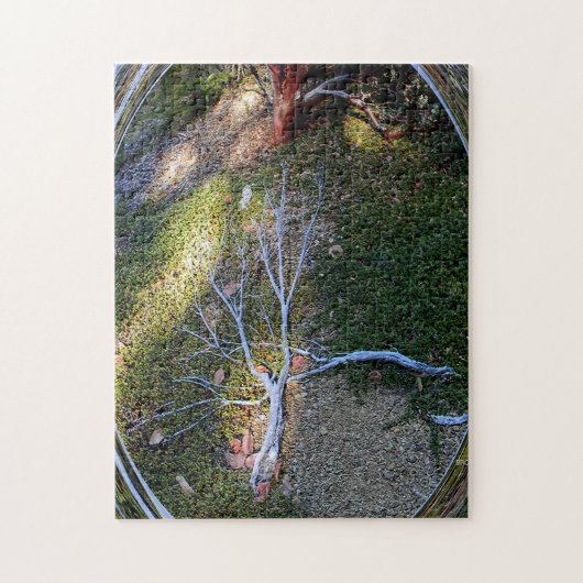 De cyclus van het Leven... Legpuzzel (Verticaal)