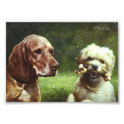 De Cynic en de Filosoof Foto Afdruk (Voorkant)