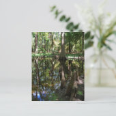 De Cypress Bog Briefkaart (Staand voorkant)