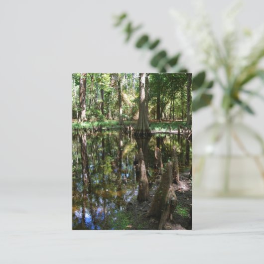 De Cypress Bog Briefkaart (Staand voorkant)