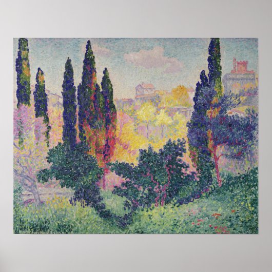 De Cypresses in Cagnes, 1908 Poster (Voorkant)