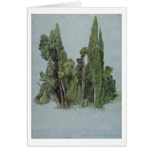 De Cypresses in de Villa d'Este, Tivoli (m/c en g)