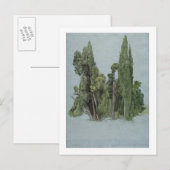 De Cypresses in de Villa d'Este, Tivoli (m/c en g) Briefkaart (Voorkant / Achterkant)