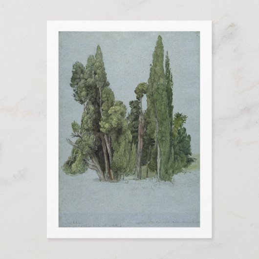 De Cypresses in de Villa d'Este, Tivoli (m/c en g) Briefkaart (Voorkant)