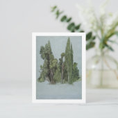 De Cypresses in de Villa d'Este, Tivoli (m/c en g) Briefkaart (Staand voorkant)