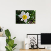 De Daffodil Poster (Thuiskantoor)