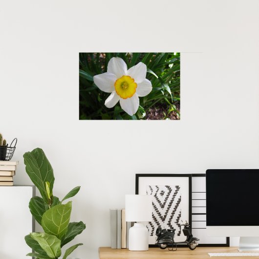 De Daffodil Poster (Thuiskantoor)