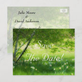 De Daffodils van het voorjaar trekken sparen de Da Aankondigingskaart (Voorkant / Achterkant)