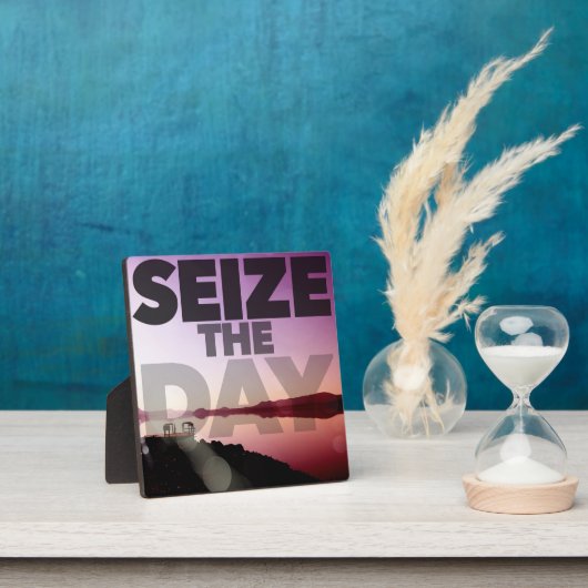 De dag innemen fotoplaat (Insitu)