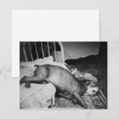 De dag na de  Drink hond Kaart (Voorkant / Achterkant)