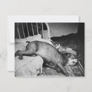 De dag na de  Drink hond Kaart