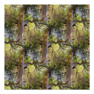 De dag van de bomen... perfect poster