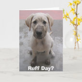 De Dag van de kemphaan? Kaart (Gele Bloem)