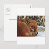 De dag van de vos het dromen briefkaart (Voorkant / Achterkant)