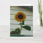 De Dag van de Zonneschijn van de zonnebloem Kaart (Voorkant)