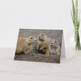 De Dag van Groundhog Kaart