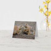 De Dag van Groundhog Kaart (Gele Bloem)