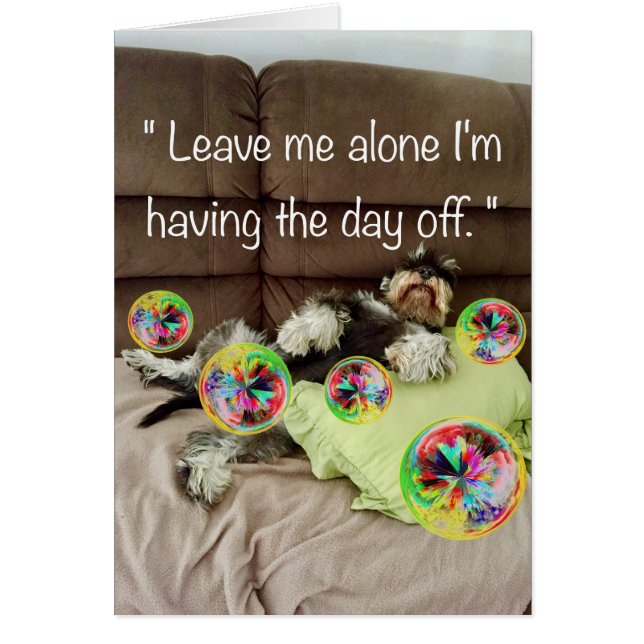 De dag vrij (Voorkant)