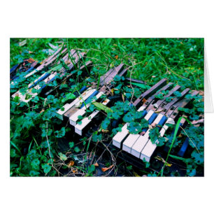 De dag waarop de muziek stierf - Blank in de Kaart