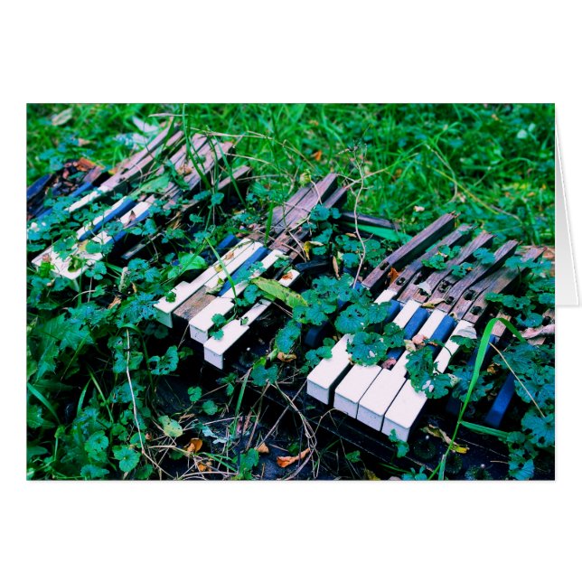 De dag waarop de muziek stierf - Blank in de Kaart (Voorkant Horizontaal)