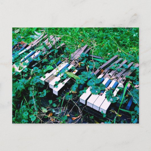 "De dag waarop de muziek stierf" - Piano - Briefka Briefkaart (Voorkant)